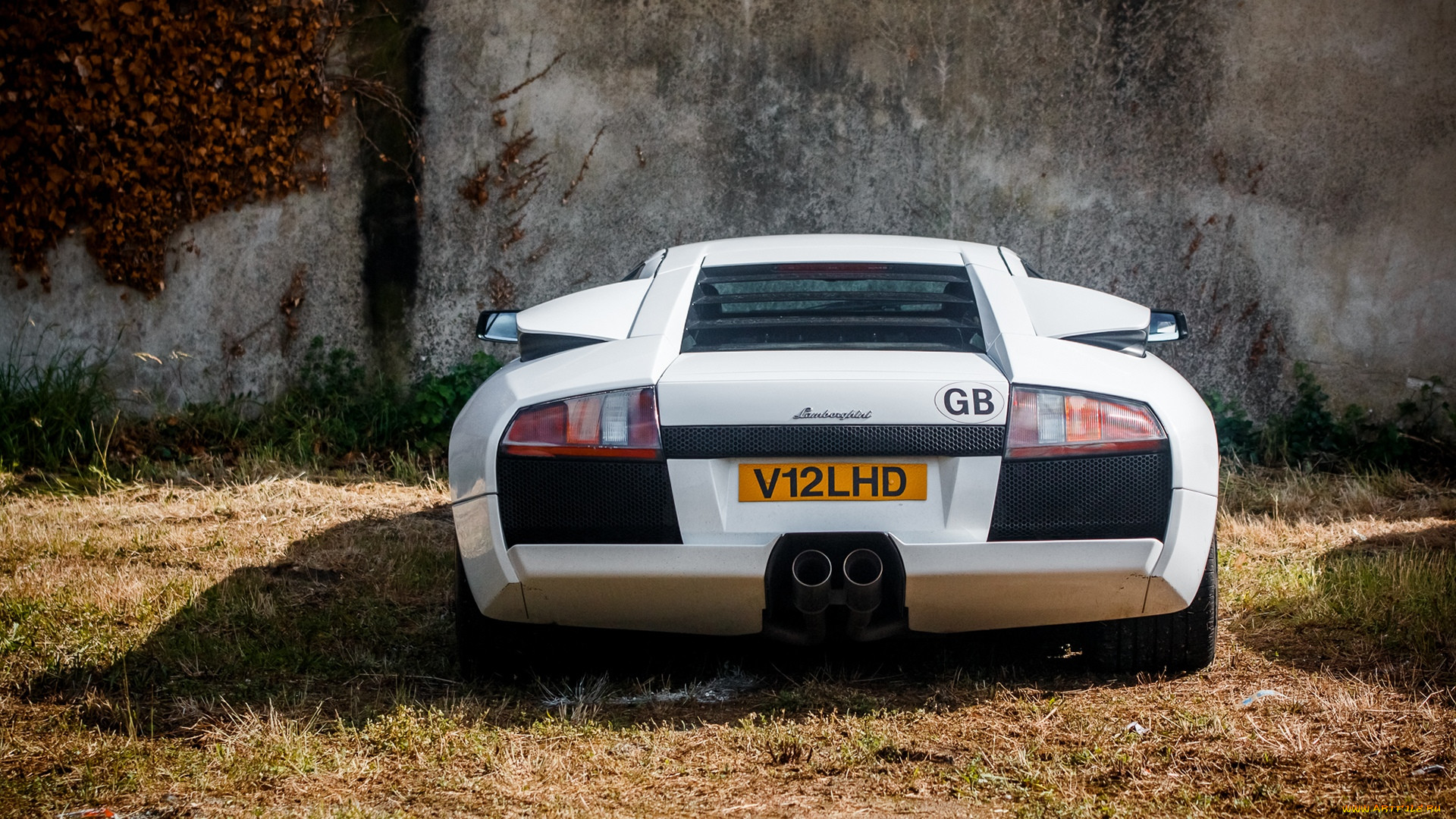 , lamborghini, murcielago